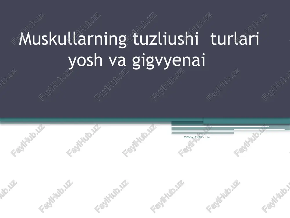 muskullarning tuzilishi — PPTX