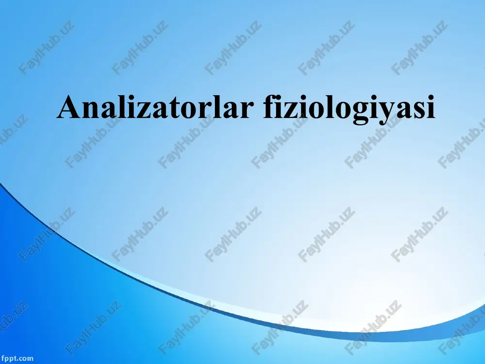 analizatorlarfiziologiyasi — PPTX
