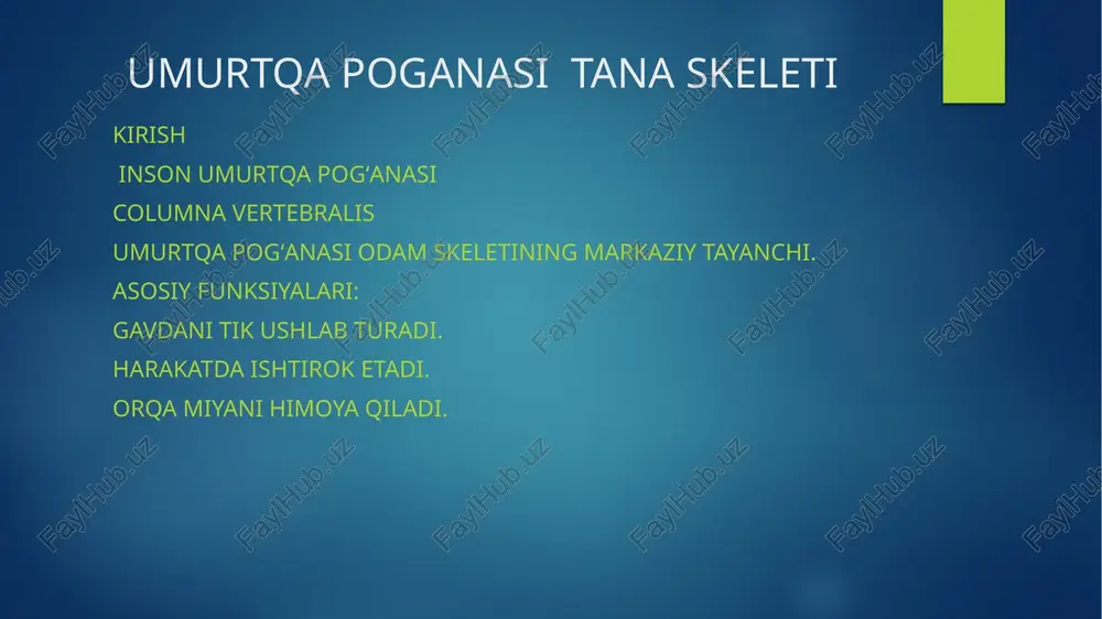umurtqa poganasi tana skeleti — PPTX