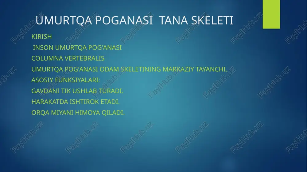 umurtqa poganasi tana skeleti — PPTX