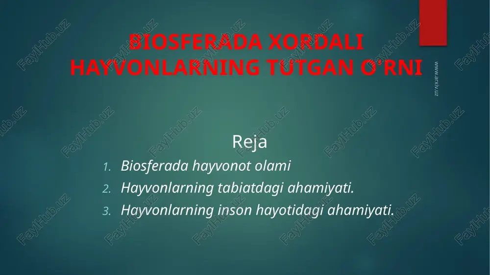 biosferada xordali hayvonlarning tutgan o'rni — PPTX