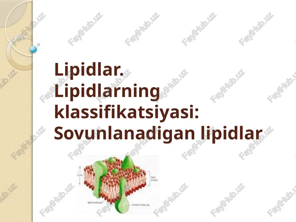 lipidlar — PPTX