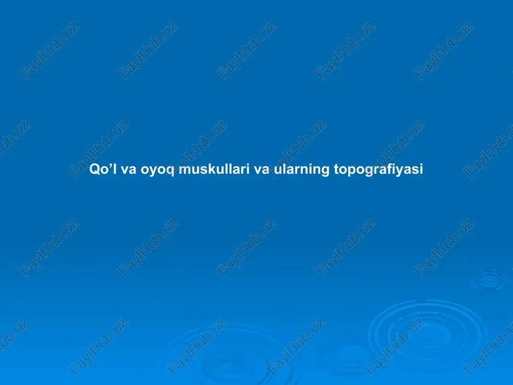qo’l va oyoq muskullari va ularning topografiyasi — PPTX