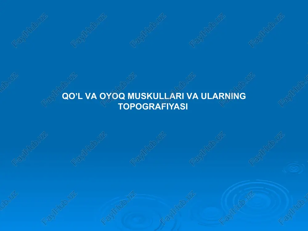 qoʼlvaoyoq muskullari vaularning topografiyasi — PPTX