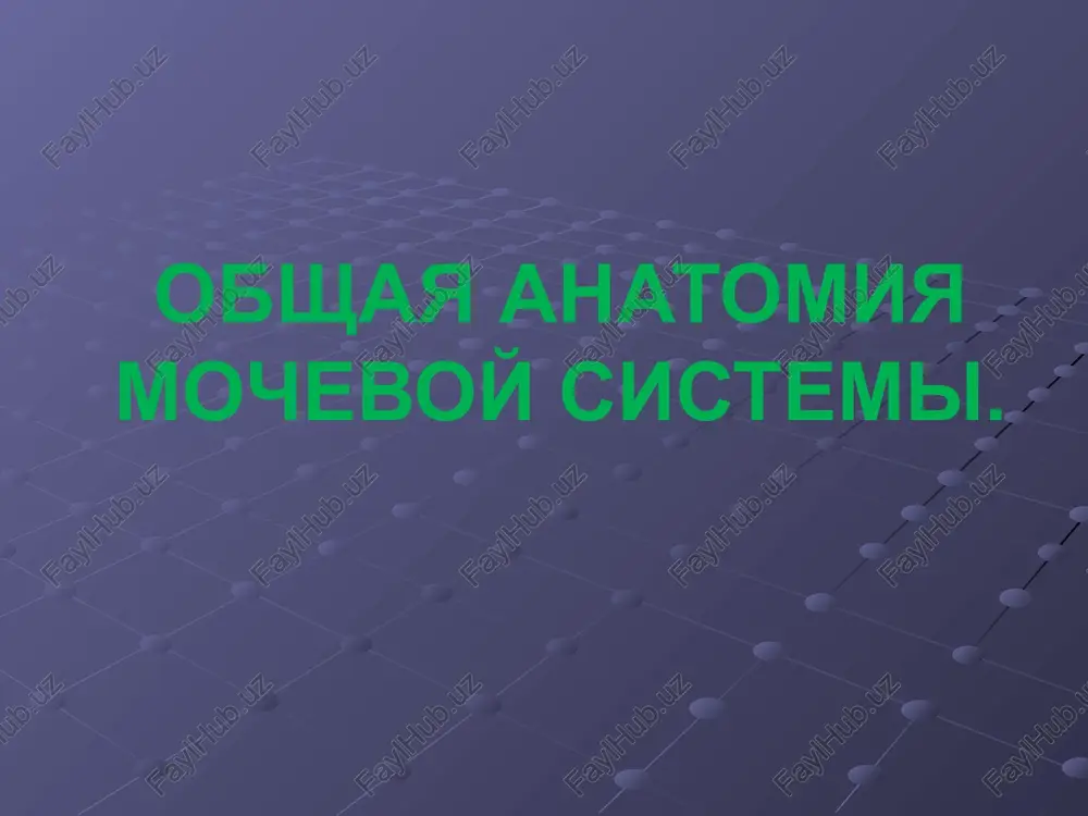 obshaya anatomiya mochevoy sistemi — PPTX