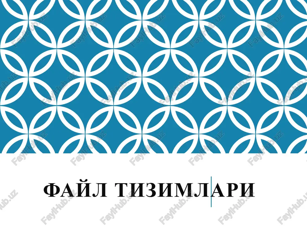 fayl tizimlari — PPTX