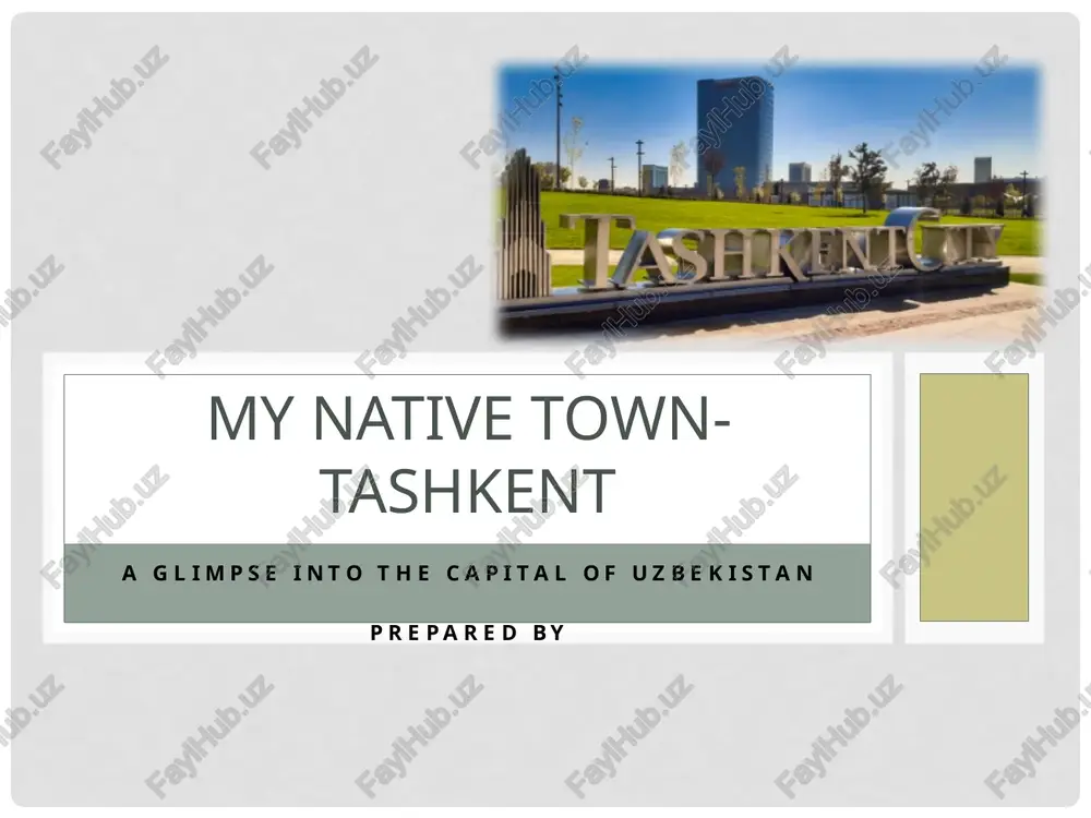 tashkent_presentation_ — PPTX