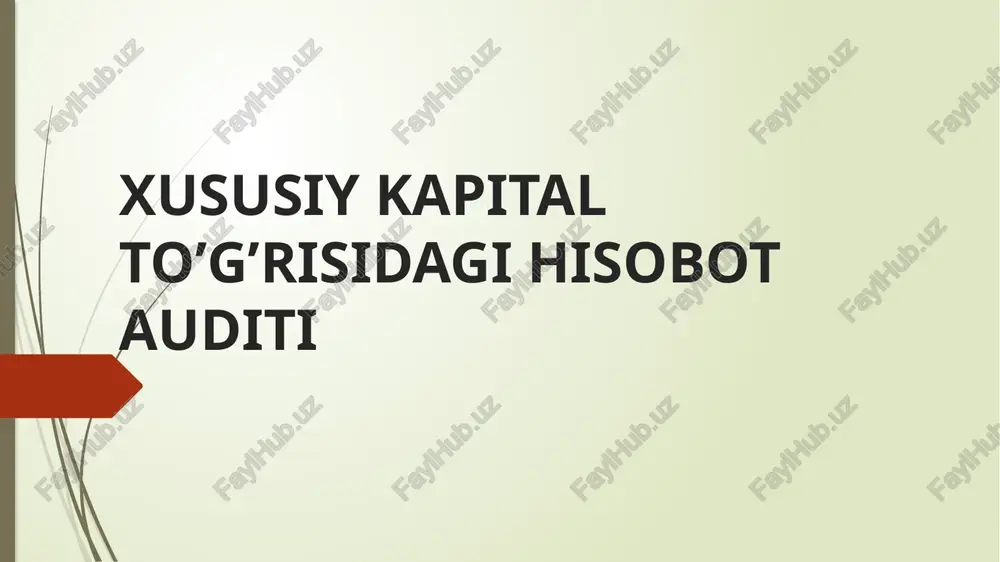 xususiy kapital to’g’risidagi hisobot audi — PPTX