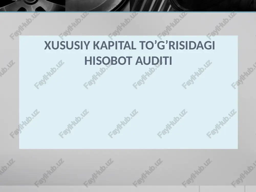 xususiy kapital to’g’risidagi hisobotauditi — PPTX