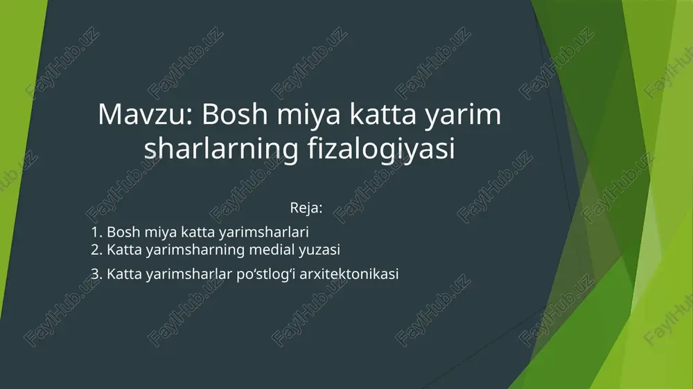 bosh miya katta yarim sharlarning fizalogiyasi — PPTX