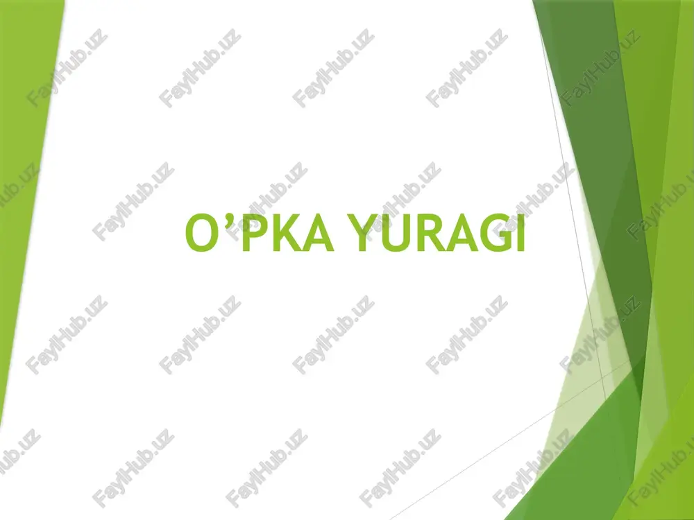 o’pka yuragi — PPTX