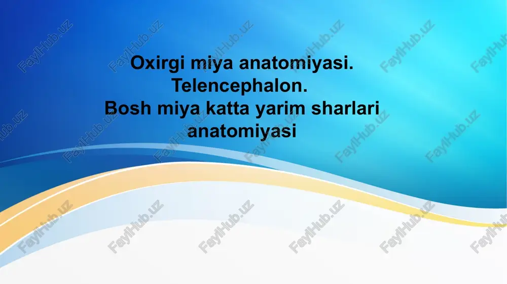 oxirgi miya anatomiyasi — PPTX