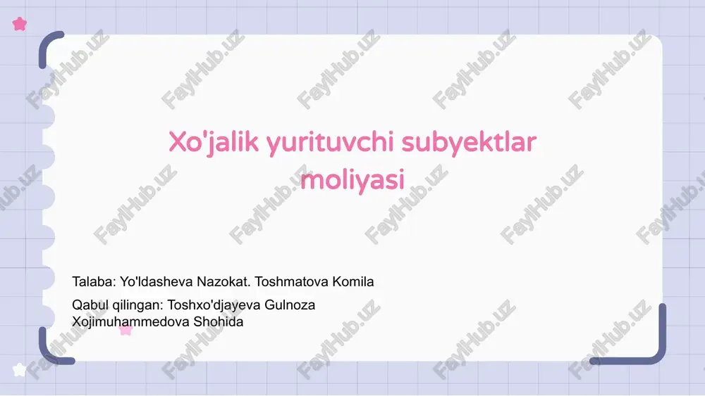 xo'jalik yurituvchi subyektlar moliyasi — PPTX