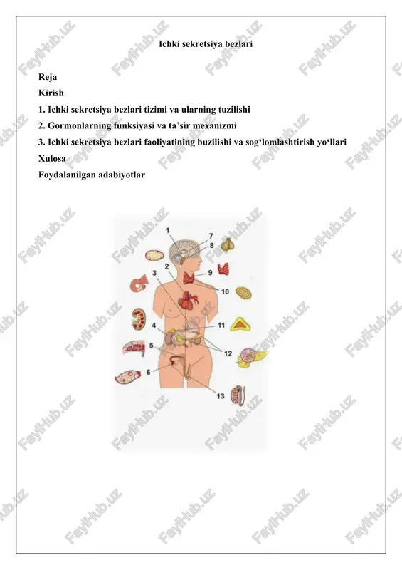 ichki sekretsiya bezlari — DOCX