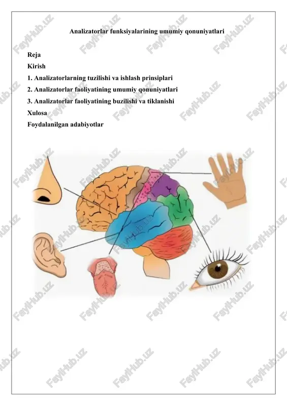analizatorlar funksiyalarining umumiy qonuniyatlari — DOCX