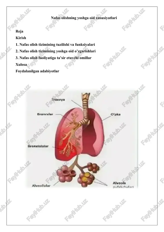 nafas olishning yoshga oid xususiyatlari — DOCX