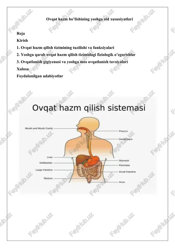 ovqat hazm bo’lishining yoshga oid xususiyatlari — DOCX