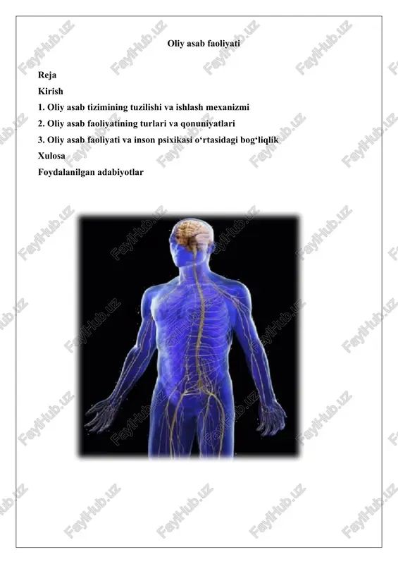 oliy asab faoliyati — DOCX