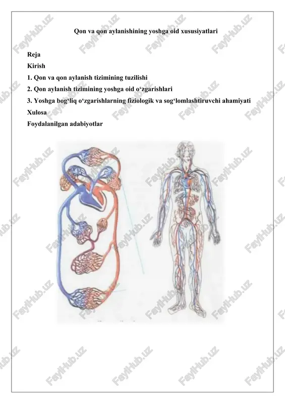 qon va qon aylanishining yoshga oid xususiyatlari — DOCX