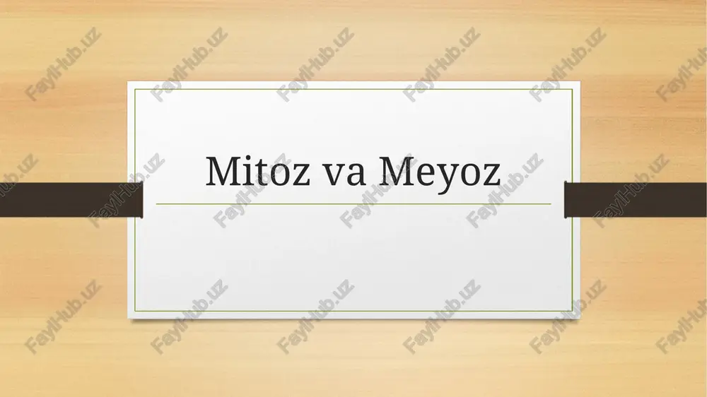 mitozvameyoz — PPTX