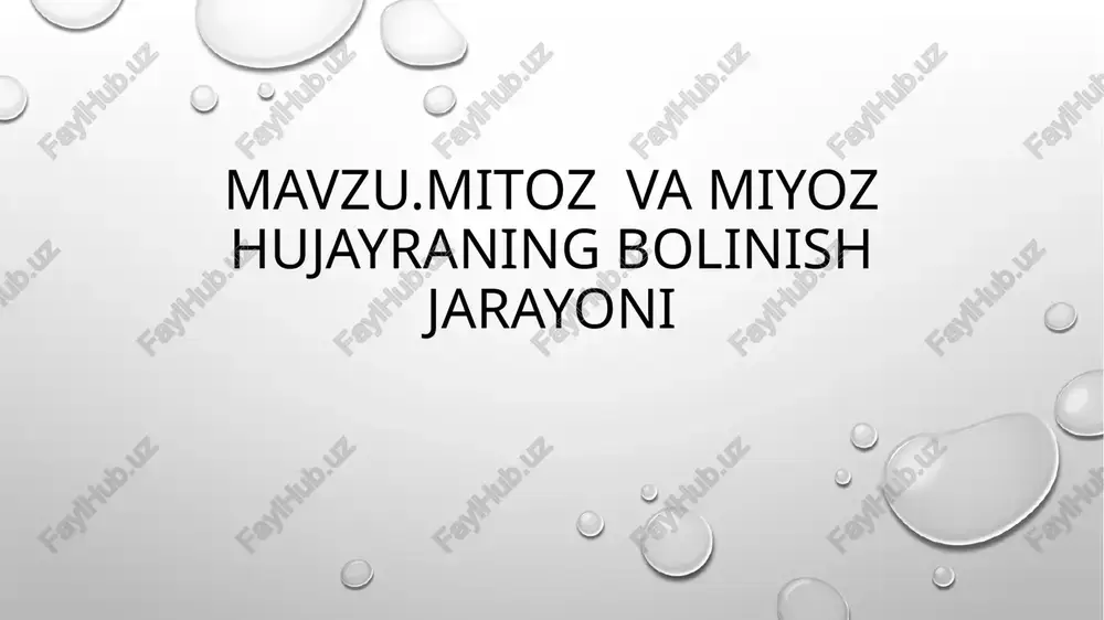 mitoz va miyoz — PPTX