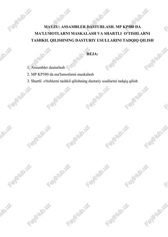 assambler dasturlash — DOCX