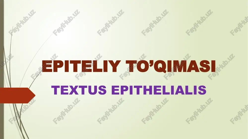 epiteliy to’qimasi textus epithelialis — PPTX