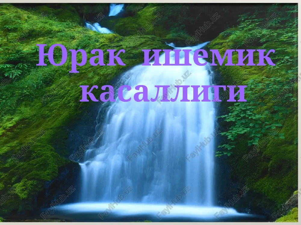 yurak ishemik kasalligi — PPT