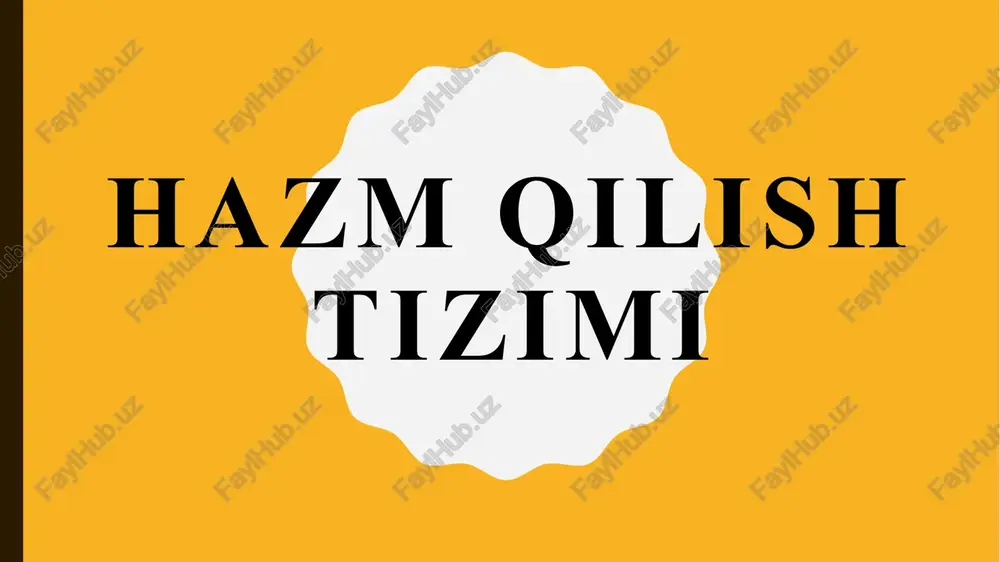 hazmqilishtizimi — PPTX