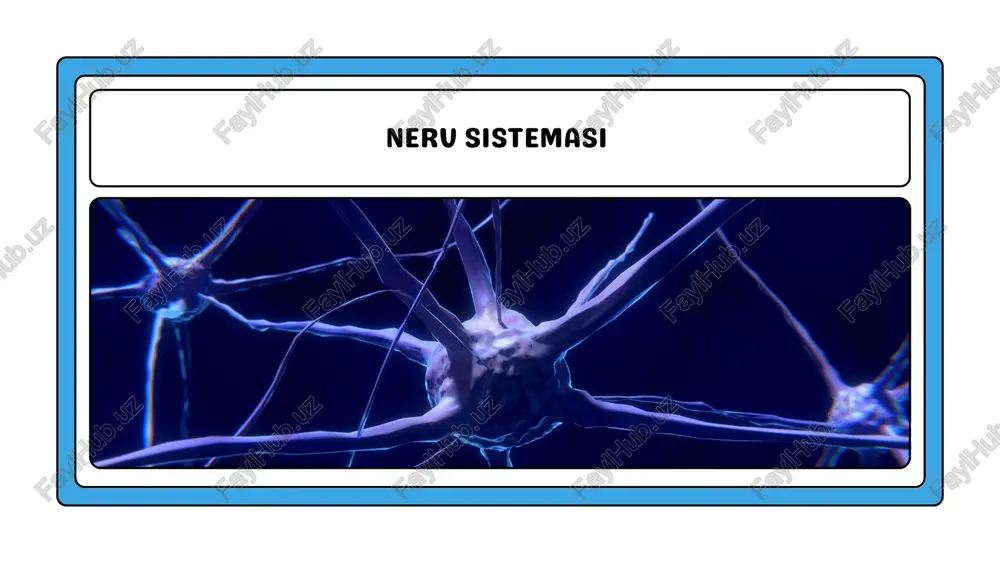 nerv sistemasi — PDF