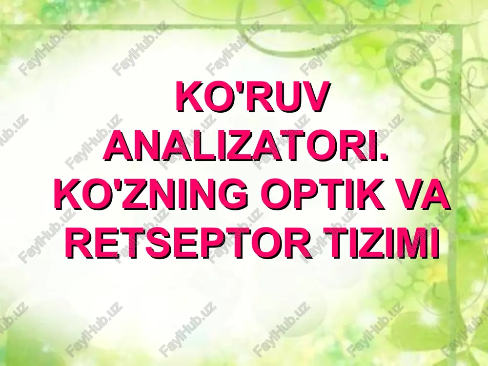 ko'ruv analizatori. ko'zning optik va retseptor tizimi — PPT