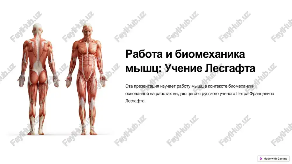 rabota i biomexanika mishts: uchenie lesgafta — PDF