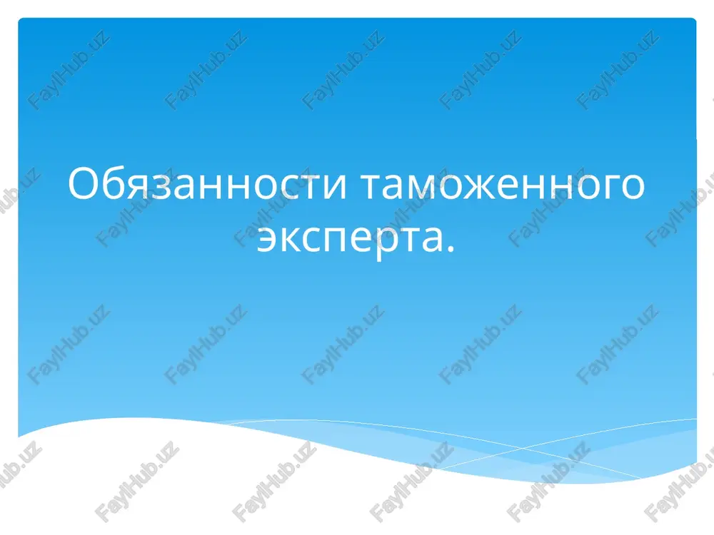 tamojenniy ekspert — PPTX