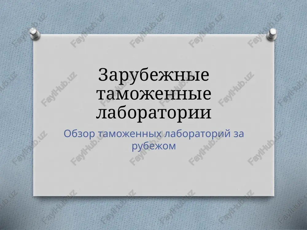 zarubejnie tamojennie laboratorii — PPTX