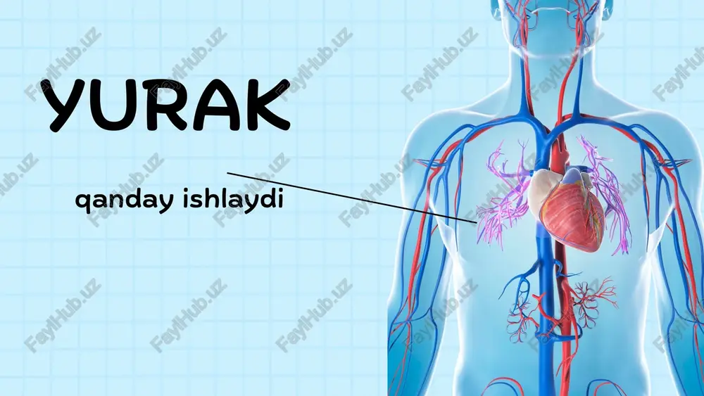 yurak — PPTX