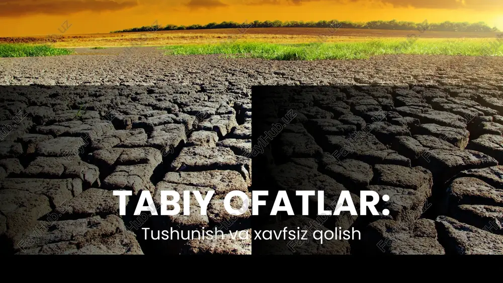 tabiiy ofatlar — PPTX