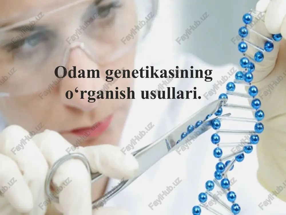 odamgenetikasi — PPTX