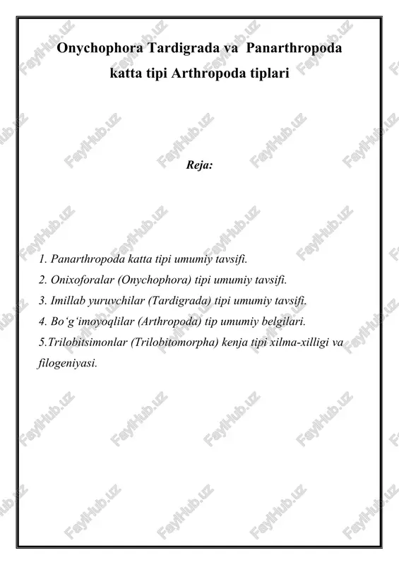 onychophora tardigrada va panarthropoda katta tipi arthropoda tiplari — DOC