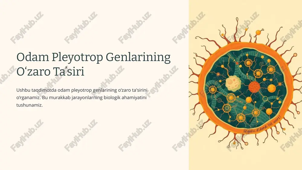 odam pleyotrop genlarining o‘zaro ta’siri — PPTX