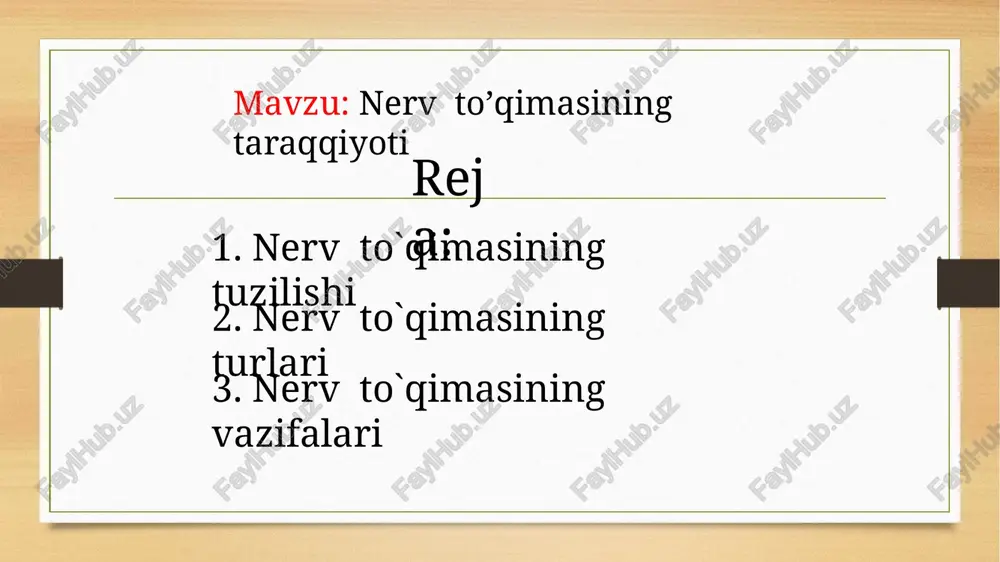 nerv to’qimasining taraqqiyoti — PPTX