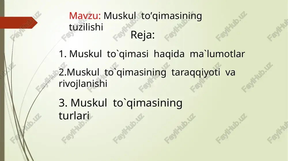 muskul to’qimasining tuzilishi — PPTX