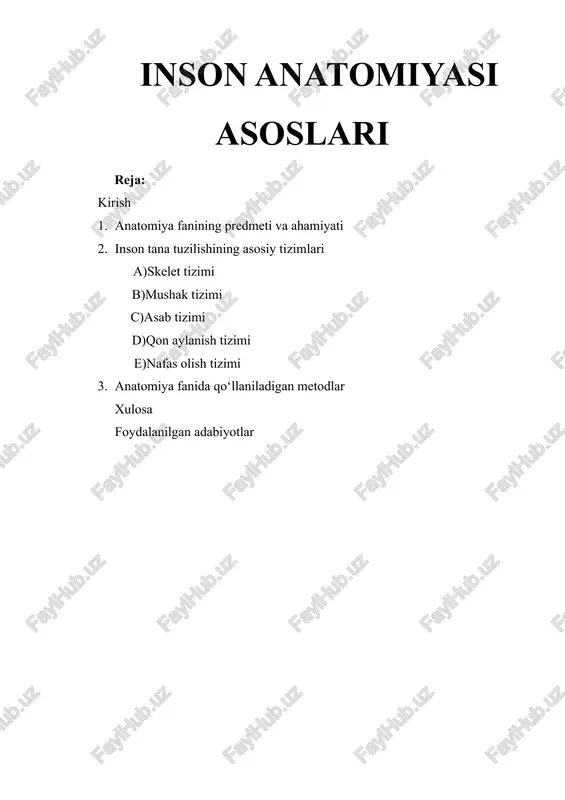 inson anatomiyasi asoslari — DOCX