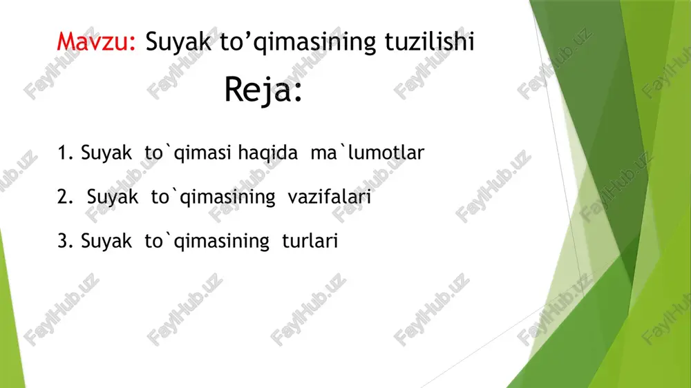 suyak to’qimasining tuzilishi — PPTX