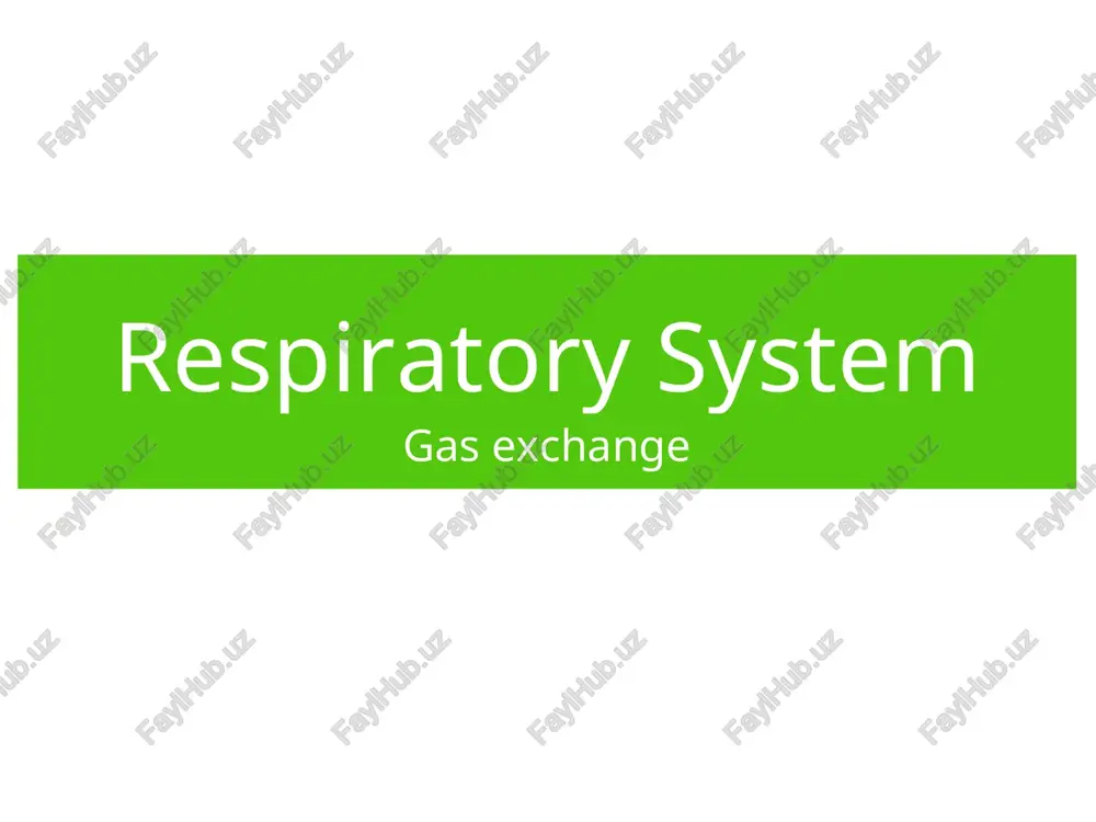 respiratory system — PPT