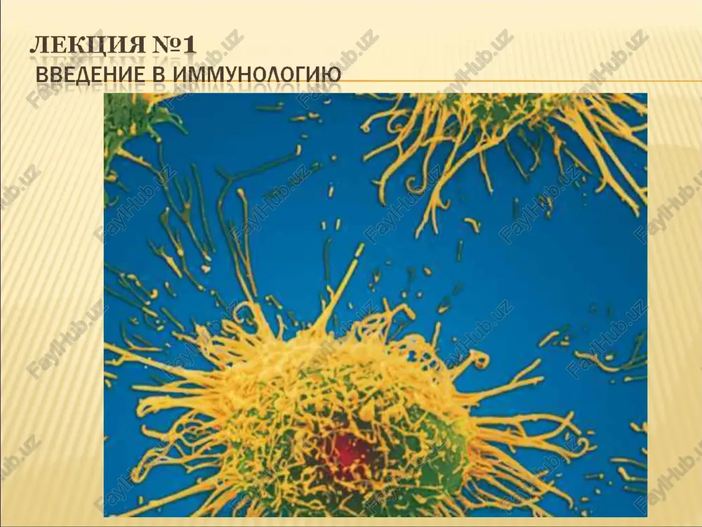 immunologiya — PPT