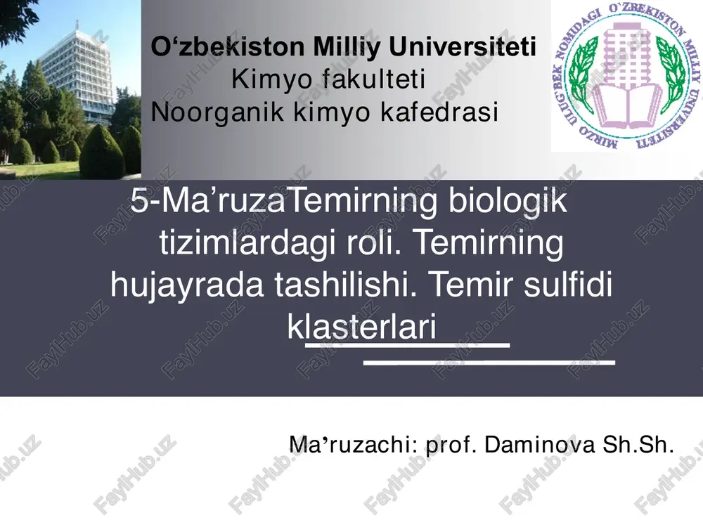 temirning biologik tizimlardagi roli — PDF