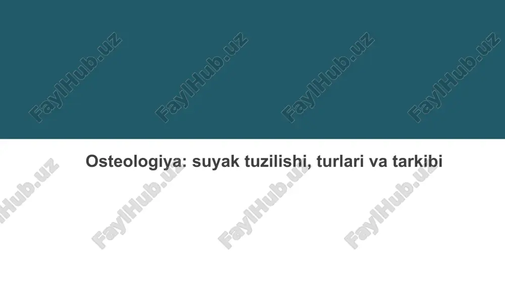 osteologiya — PPTX