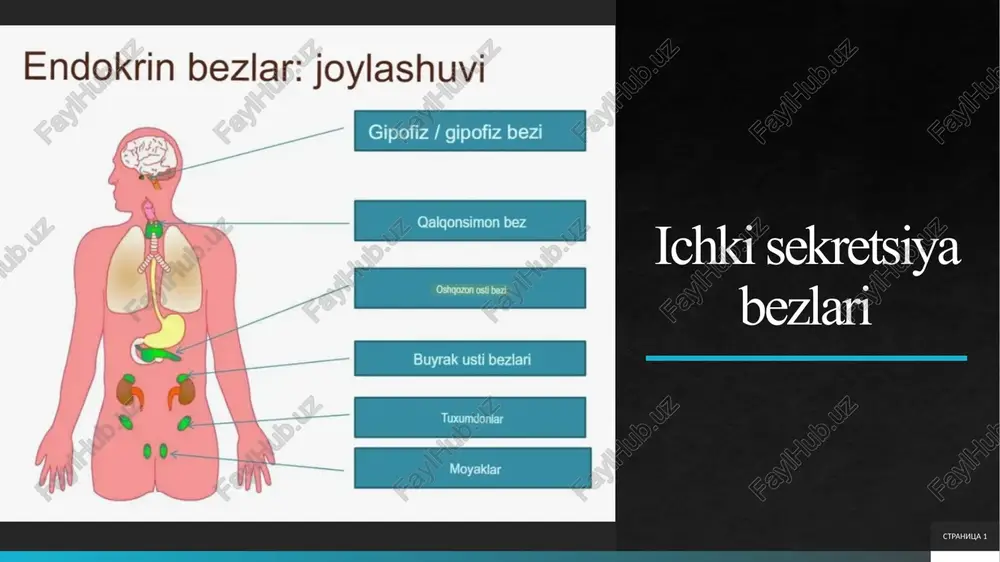 ichki sekretsiya bezlari — PPTX