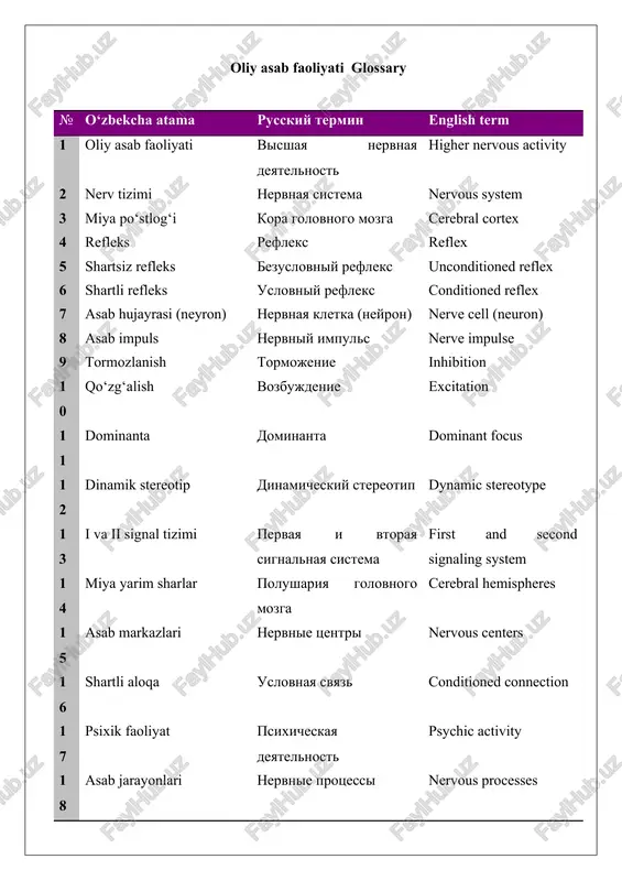 oliy asab faoliyati glossary — DOCX