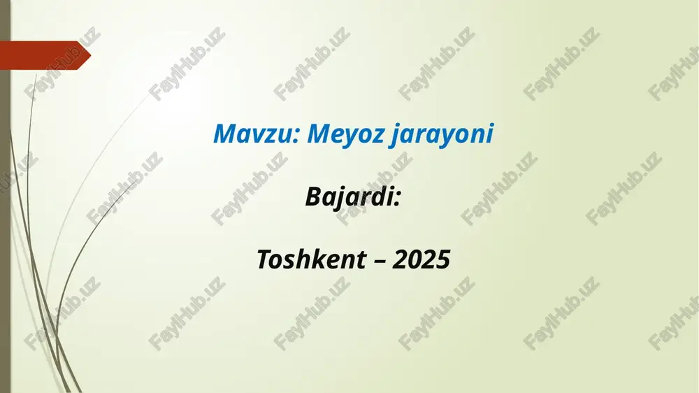 meyoz jarayoni — PPTX
